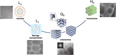 Non-lamellar lipid liquid crystalline nanoparticles: A smart platform for nanomedicine applications